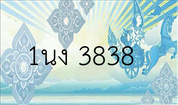 1นง 3838